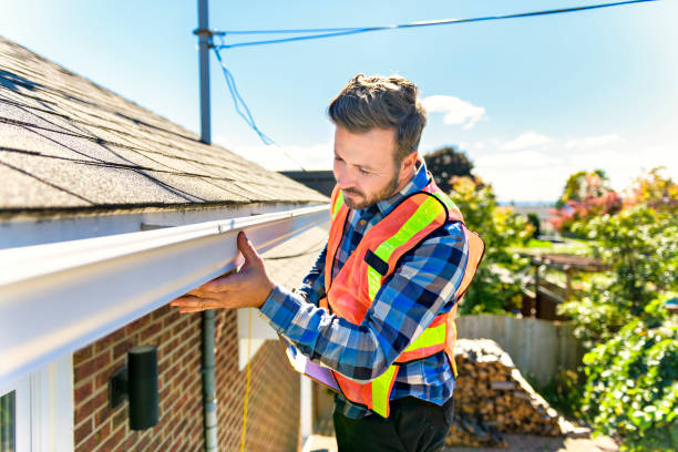 Best Roof Moss and Algae Removal  in High Point, NC